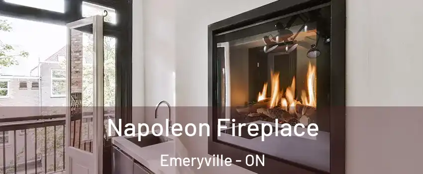  Napoleon Fireplace Emeryville - ON