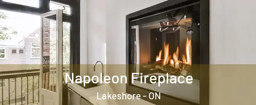  Napoleon Fireplace Lakeshore - ON