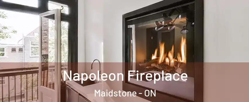  Napoleon Fireplace Maidstone - ON