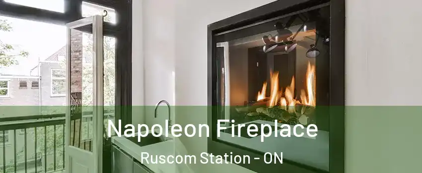  Napoleon Fireplace Ruscom Station - ON