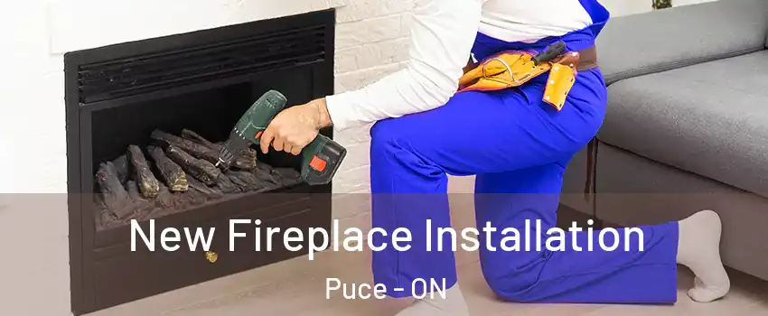  New Fireplace Installation Puce - ON