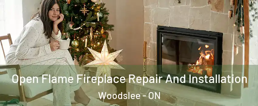  Open Flame Fireplace Repair And Installation Woodslee - ON