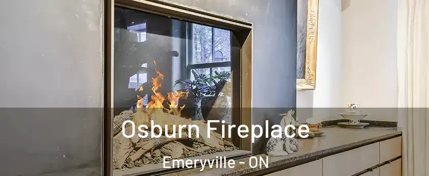  Osburn Fireplace Emeryville - ON