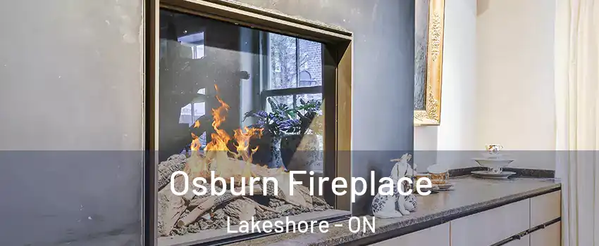  Osburn Fireplace Lakeshore - ON