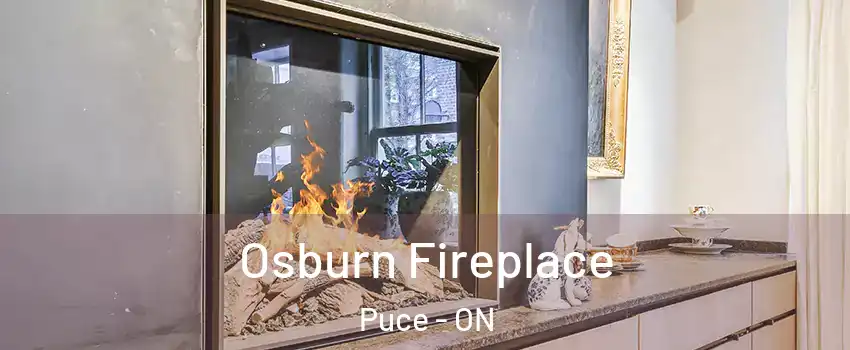 Osburn Fireplace Puce - ON