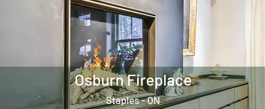  Osburn Fireplace Staples - ON
