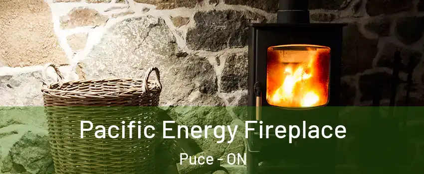  Pacific Energy Fireplace Puce - ON