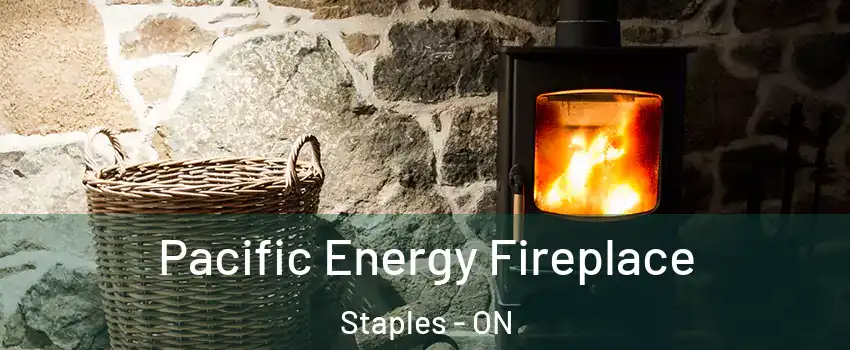  Pacific Energy Fireplace Staples - ON