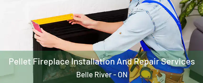  Pellet Fireplace Installation And Repair Services Belle River - ON