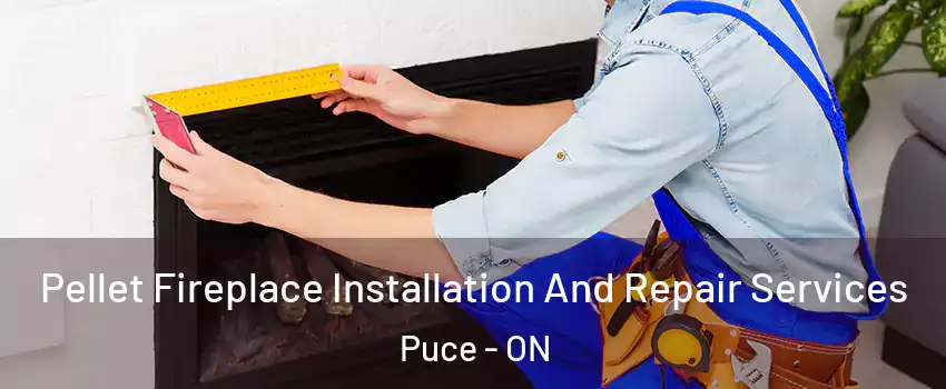  Pellet Fireplace Installation And Repair Services Puce - ON