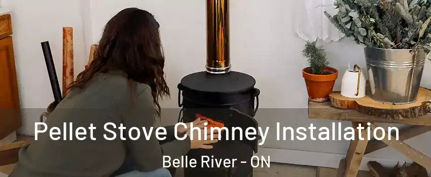  Pellet Stove Chimney Installation Belle River - ON