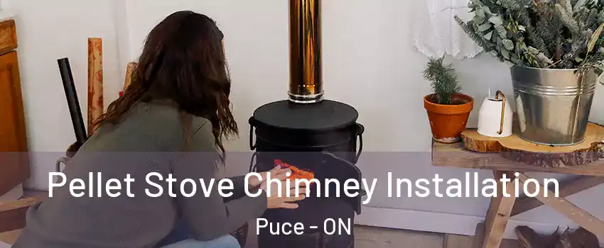  Pellet Stove Chimney Installation Puce - ON