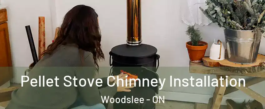  Pellet Stove Chimney Installation Woodslee - ON