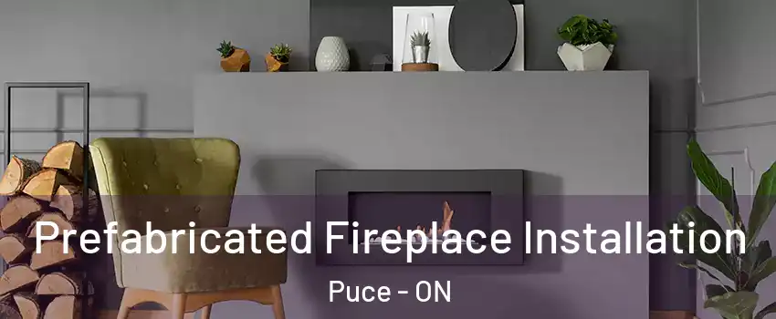  Prefabricated Fireplace Installation Puce - ON