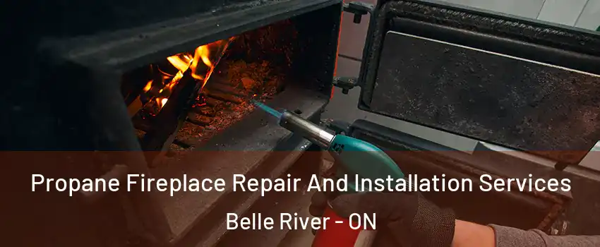 Propane Fireplace Repair And Installation Services Belle River - ON