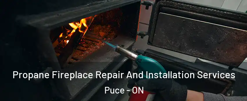  Propane Fireplace Repair And Installation Services Puce - ON