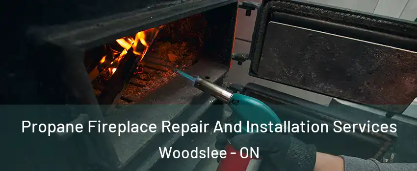 Propane Fireplace Repair And Installation Services Woodslee - ON