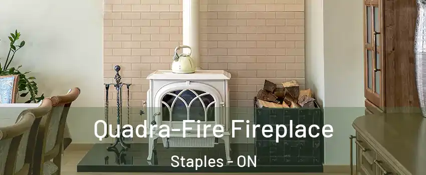  Quadra-Fire Fireplace Staples - ON