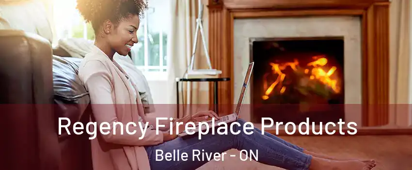  Regency Fireplace Products Belle River - ON