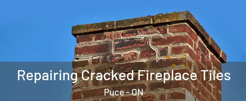  Repairing Cracked Fireplace Tiles Puce - ON