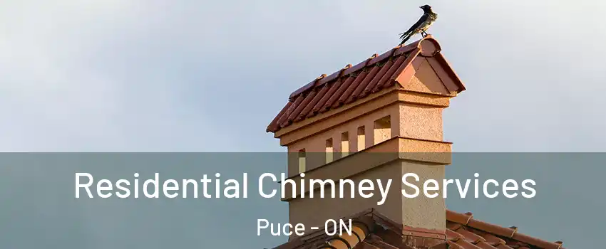  Residential Chimney Services Puce - ON