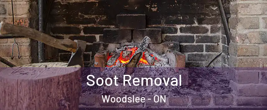  Soot Removal Woodslee - ON