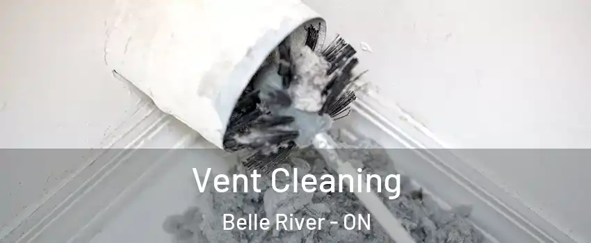  Vent Cleaning Belle River - ON