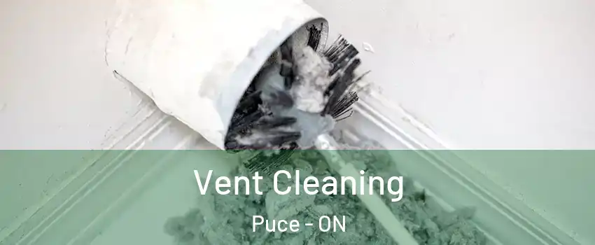  Vent Cleaning Puce - ON