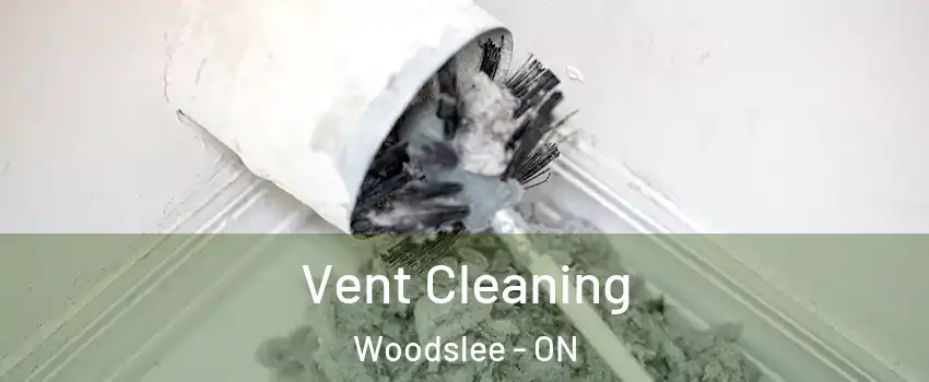  Vent Cleaning Woodslee - ON