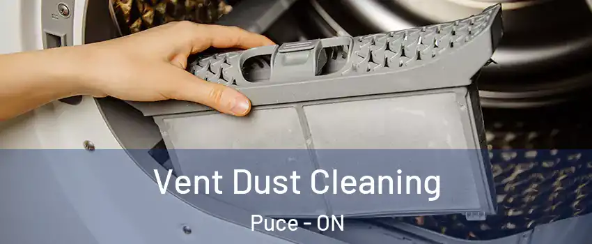  Vent Dust Cleaning Puce - ON