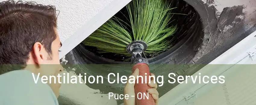  Ventilation Cleaning Services Puce - ON