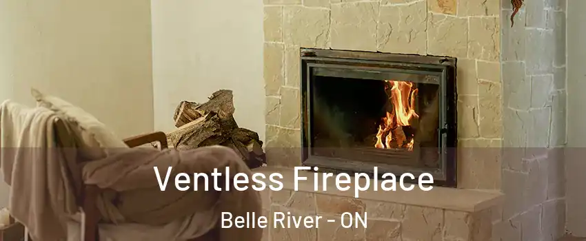  Ventless Fireplace Belle River - ON