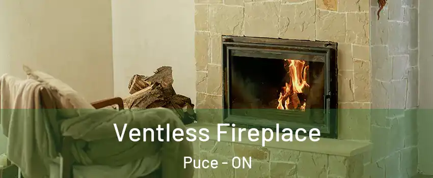  Ventless Fireplace Puce - ON
