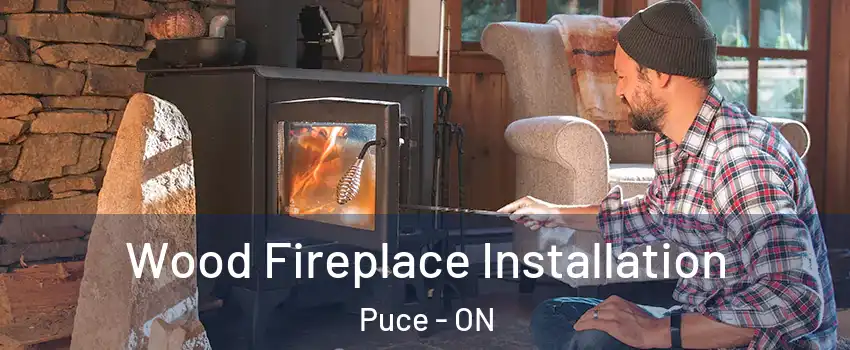  Wood Fireplace Installation Puce - ON