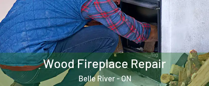  Wood Fireplace Repair Belle River - ON
