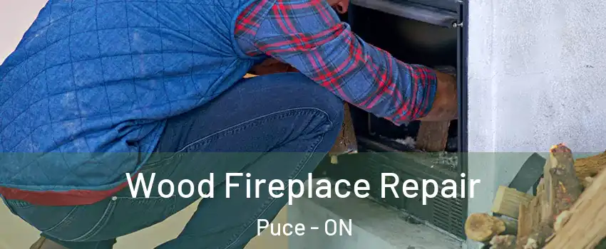  Wood Fireplace Repair Puce - ON