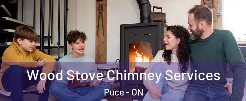  Wood Stove Chimney Services Puce - ON