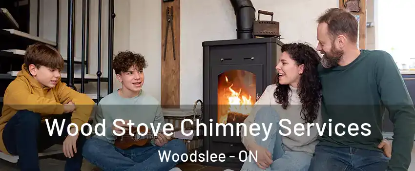  Wood Stove Chimney Services Woodslee - ON