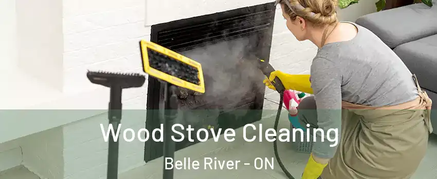  Wood Stove Cleaning Belle River - ON