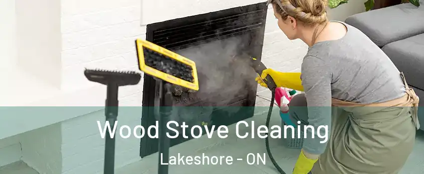  Wood Stove Cleaning Lakeshore - ON