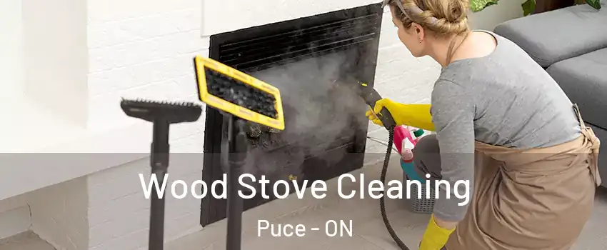  Wood Stove Cleaning Puce - ON