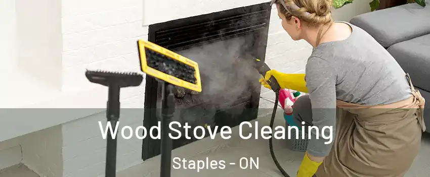 Wood Stove Cleaning Staples - ON