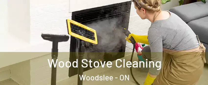  Wood Stove Cleaning Woodslee - ON