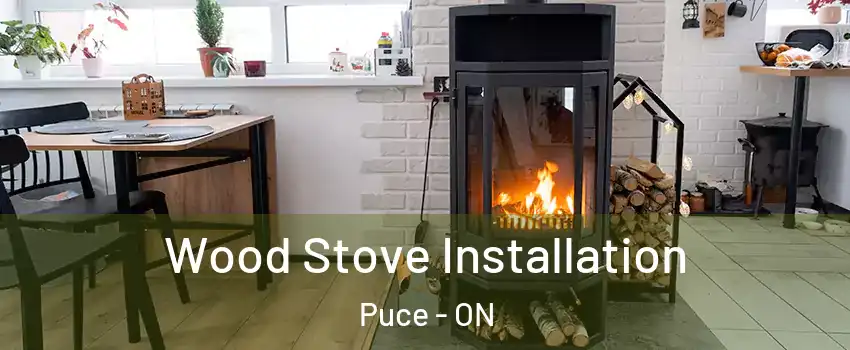  Wood Stove Installation Puce - ON